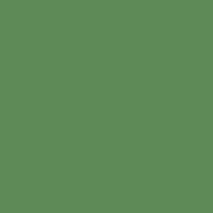 Mason Stain 50gm - Victoria Green