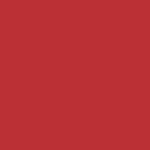 Mason Stain 50gm - Red