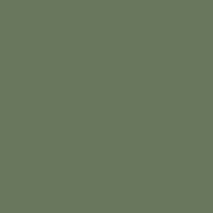 Mason Stain 50gm - Avocado