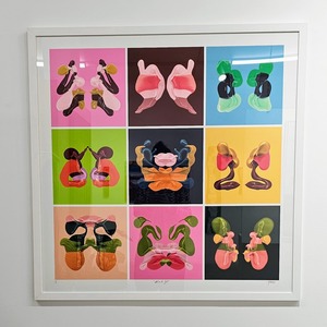 All: Genevieve Will, What do you see? 1/1