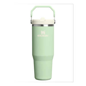 Stanley IceFlow Flip Straw Tumbler | 30 OZ Pistachio