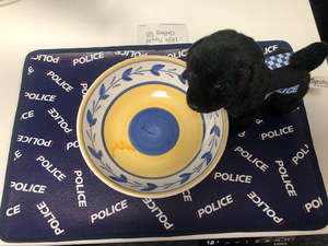 Little Poppet Pet Feeding Mat