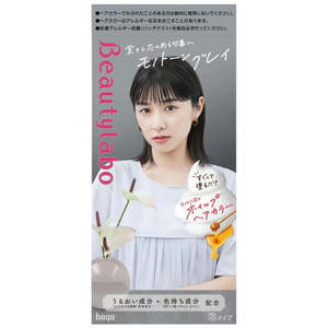 Beautylabo Whip Hair Color -Monotone Gray
