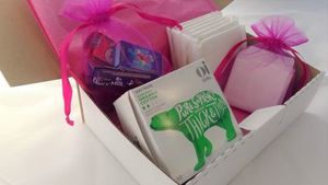 Oi Cups The Cotton Pony Limited: Oi Girl Pad Subscription