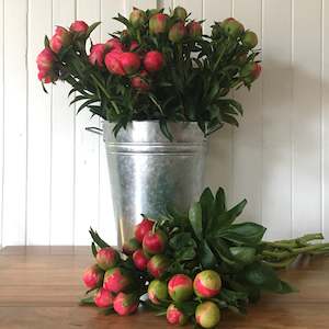 Flowers: Peony Special- Click & Collect