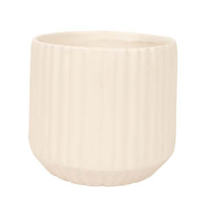 Indoor Plants: Emilia Pot