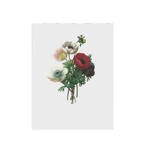 Lettuce - Tea Towel - Anemone