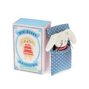 Toys: Mini Bunny In A Little Box