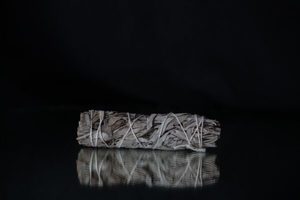 Products: White Sage Medium Smudge Stick - THE COVEN