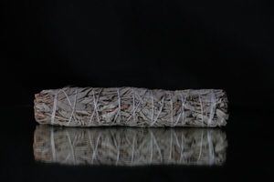 Products: White Sage Large Smudge Stick - THE COVEN