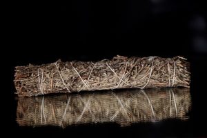 Products: Blue Sage Large Smudge Stick - THE COVEN