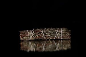 Rosemary Smudge Stick - THE COVEN