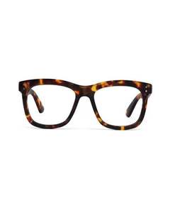 Eyewear: Daily Eyewear - 11am