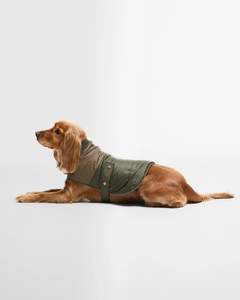 Barbour: Barbour -  Brampton Quilted Dog Coat