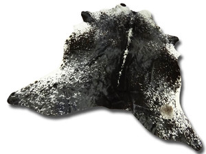 Black + White Cowhides: A609