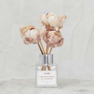 Reeds & Peonies Diffuser Mini Diffuser