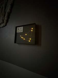 Capricorn Constellation Light Board