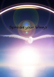 Products: Spiritual Business Mentoring