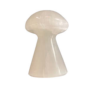 Mushrooms: 95g Selenite Mushroom