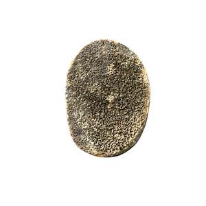 118g Septarian Egg