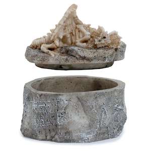 Boxes More: Sleeping Bones Dragon Trinket Box