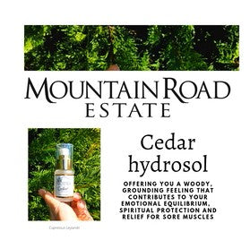 Cedar Hydrosol 30ml