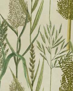 The Wetlands Collection: RIVERSIDE FLORA Taupe wallpaper