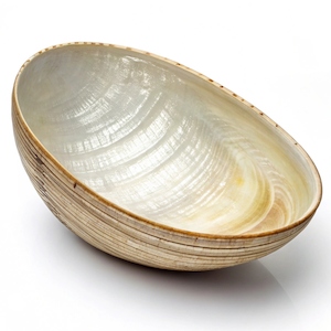 Clam Shell Bowl 34cm