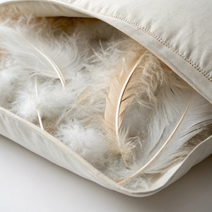 Products: Feather Cushion Inner 55x55cm