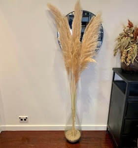 Toi Toi In Glass Vase (Hire Price & Pickup Only)