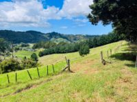 Products: Spa Extras – De-matting (per 15 mins)