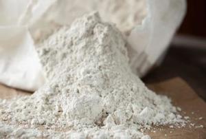 Diatomaceous Earth FREE Sample
