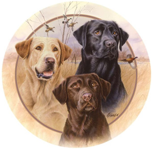 Around The House: Trio of Hunting Labs Drink Coasters