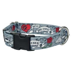Collars: LARGE EarthStyle Collars (Made from Recycled Plastic Bottles) -- Assorted Designs