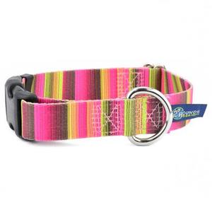 Collars: SMALL Earthstyle Collars (Made from Recycled Plastic Bottles) -- Assorted Designs