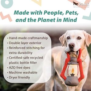 P L A Y Camp Corbin: P.L.A.Y. Camp Corbin Pack Leader Lantern