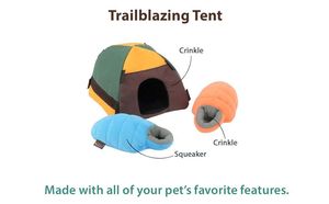 P L A Y Camp Corbin: P.L.A.Y. Camp Corbin Trailblazing Tent