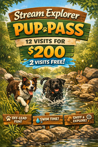 New Additions: Stream Explorer Pup Pass