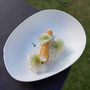 Your Sustainable Kitchen: Organic Plate Bagastro - 3 sizes