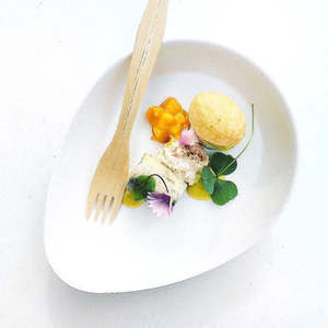 Disposable Bagasse Plates & Bowl Sucadrops- 3 Sizes, Pack Of 50 Or 75 Pieces