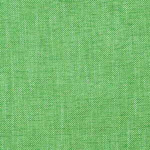 Plymouth Amazone Fabric