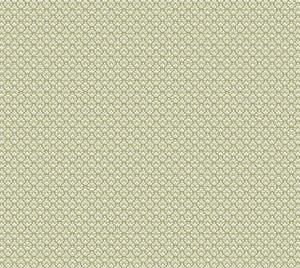 Oilcloth Enduits: Carrington Olive Oilcloth
