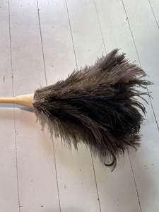 Ostrich Feather Duster Beige