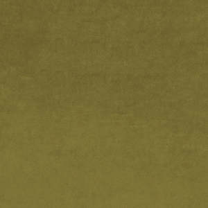 Fabric: Matlock Citrus Velvet Fabric