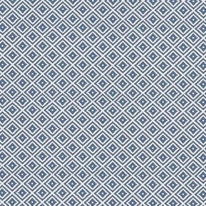 Keeston Denim Oilcloth
