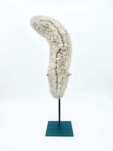 Decorative Mushroom Coral on display stand