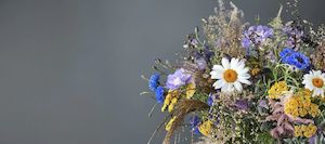 Products: Home Fragrance