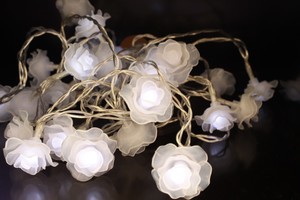 SOLAR Fairy Light Roses