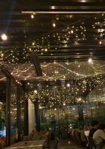 Products: LONG FRINGE fairy lights on black wire