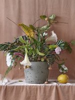 Products: Botanical Garden